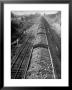 Wartime Railroading: Coal Cars Of Freight Train Of The Charleston And Western Carolina Line by Alfred Eisenstaedt Limited Edition Print