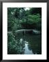 Old Stone Bridge In Garden by Ted Thai Limited Edition Print