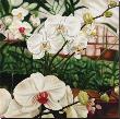 Moth Orchid by Pamela Jablonski Limited Edition Pricing Art Print