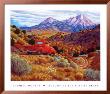 Autumn By The Spanish Peaks by Stephen Morath Limited Edition Print