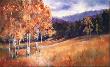 Luminous Aspens by Ann Ruttan Limited Edition Pricing Art Print