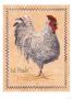 Le Poule by Elizabeth Garrett Limited Edition Print