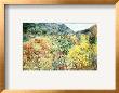 Colors Of September by Cathering Perehudoff Limited Edition Pricing Art Print