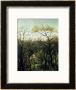 Rendez-Vous In The Forest, 1886 by Henri Rousseau Limited Edition Pricing Art Print