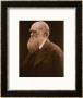 Charles Darwin by Julia Margaret Cameron Limited Edition Pricing Art Print