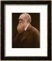 Charles Darwin by Julia Margaret Cameron Limited Edition Print
