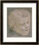 Head Of A Child by Leonardo Da Vinci Limited Edition Print