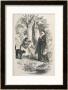 The Lancashire Witches The Young Witch Jennet Urges Her Familiar The Cat Tib To Attack Her Victim by John Gilbert Limited Edition Pricing Art Print