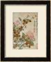 Plum Blossom And Camelias by Yun Shouping Limited Edition Print