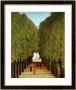 Alleyway In The Park Of Saint-Cloud, 1908 by Henri Rousseau Limited Edition Print