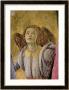 Angel, From The Coronation Of The Virgin, Circa 1488-90 (Detail) by Sandro Botticelli Limited Edition Print