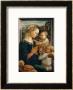 Madonna And Child With Two Angels by Fra Filippo Lippi Limited Edition Pricing Art Print