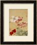 Poppies by Yun Shouping Limited Edition Pricing Art Print
