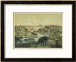 Ferdinand Von Hochstetter Pricing Limited Edition Prints