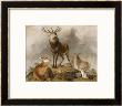 Scene In Braemar, Highland Deer by Edwin Henry Landseer Limited Edition Pricing Art Print