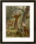 Saint Francis Of Assisi, Preaching To The Animals by Hans Stubenrauch Limited Edition Print