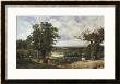 Richmond Park by John F. Tennant Limited Edition Print