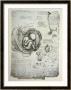 The Human Foetus In The Womb, Facsimile Copy by Leonardo Da Vinci Limited Edition Print