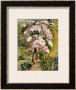 In A Shoreham Garden by Samuel Palmer Limited Edition Pricing Art Print