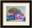 The Pine Tree At St. Tropez, 1909 by Paul Signac Limited Edition Print