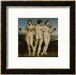 The Three Graces by Raphael Limited Edition Print