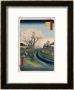 Cherry Blossoms, Tama River Embankment by Ando Hiroshige Limited Edition Print