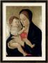 Madonna And Child, Circa 1475 by Giovanni Bellini Limited Edition Print