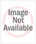 Bb - Les Jacinthes by Bernard Buffet Limited Edition Pricing Art Print