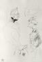 Dessins : La Visite Du Medecin by Henri De Toulouse-Lautrec Limited Edition Pricing Art Print