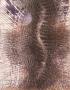 La Glace Brisee by Tapan Ghosh Limited Edition Print