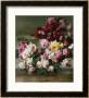 Red And Pink Roses by Cristofano Allori Limited Edition Print