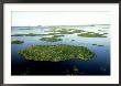 Aerial Of Tampico Wetlands, Mexico by Patricio Robles Gil Limited Edition Print
