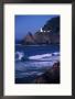 Crashing Waves And Sea Lions, Heceta Head Lighthouse, Oregon, Usa by Brent Bergherm Limited Edition Print