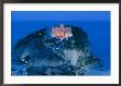 Santa Maria Dell'isola Church, Tropea, Calabria, Italy by Walter Bibikow Limited Edition Pricing Art Print