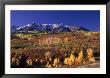 San Juan Mountain Range Behind Fall Foliage, Co by Bill Bonebrake Limited Edition Print
