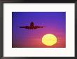 Airplane At Sunset by Mitch Diamond Limited Edition Print