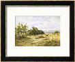 Hampshire Cornfield by Henry Parker Limited Edition Print