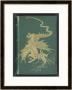 Fairy Rides A Gold Dragon by Henry Justice Ford Limited Edition Print