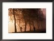 Runners In Fog At Sunrise, Seattle, Wa by Jim Corwin Limited Edition Print