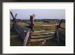 Cannons At Antietam National Battlefield by Raymond Gehman Limited Edition Print