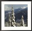 Whistler, Canada, Winter by Keith Levit Limited Edition Print