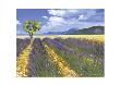 Lavendelfeld Mit Baum by Talantbek Chekirov Limited Edition Pricing Art Print