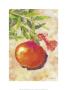 Granatapfel by Guenter Tillmann Limited Edition Print