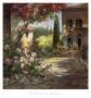 Tuscan Afternoon by Haibin Limited Edition Pricing Art Print