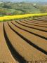 Plowed Bare Field In Provence With Countryside In The Background, France by Stephen Sharnoff Limited Edition Print