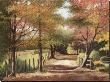 Autumn Country Road by Lene Alston Casey Limited Edition Print