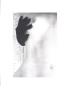 Desire In Black by Harvey Edwards Limited Edition Print