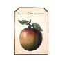 Ceci N’Est Pas Une Pomme by Rene Magritte Limited Edition Pricing Art Print