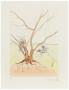 12 Stamme Israels - Asher, C.1973 by Salvador Dali Limited Edition Print