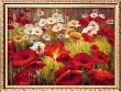 Meadow Poppies Ii by Lucas Santini Limited Edition Print
